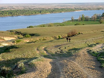 Мы все еще спасаем Дон? Или уже хватит?